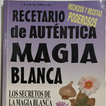 Cover image of the book 