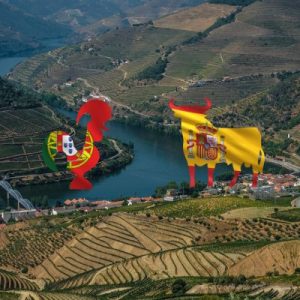 português espanhol traduções joana vicente