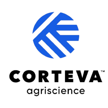 Corverta Brand Logo - reference to Spanish-Portuguese Translations by Joana Vicente.